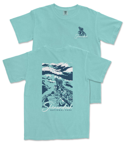 A turquoise t-shirt with a graphic design depicting a mountain landscape and a bear. The text on the t-shirt reads "Sterling National Park".