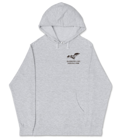 A gray hooded sweatshirt with a graphic design and text on the front.
