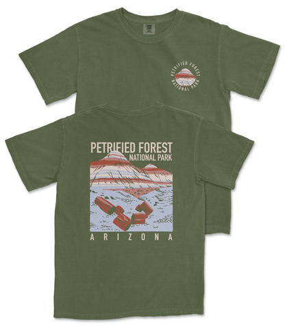 A green t-shirt with a graphic design depicting a mountain landscape and the text "PETRIFIED FOREST NATIONAL PARK ARIZONA" printed on it.