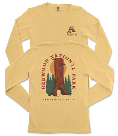 a yellow long-sleeved t-shirt with a graphic design depicting a tall tree with a sun-like symbol above it, surrounded by pine trees. The design also includes the text "REDWOOD NATIONAL PARK NORTHERN CALIFORNIA".