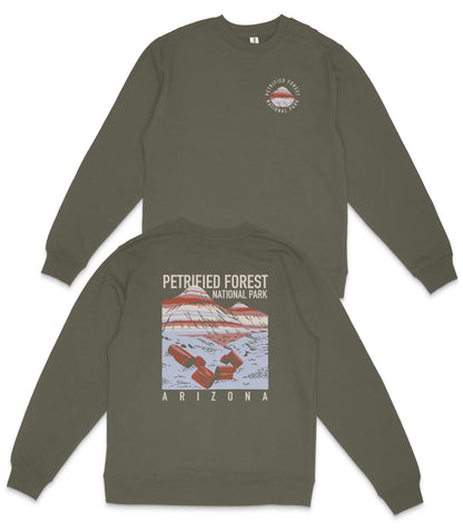 a grey sweatshirt with a graphic design on the back, depicting a scenic view of the Petriified Forest National Park in Arizona.