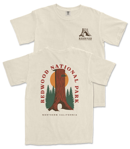 a cream-colored t-shirt with a graphic design depicting a tall tree with a sunburst on its trunk, surrounded by pine trees. The text on the t-shirt reads "REDWOOD NATIONAL PARK NORTHERN CALIFORNIA".